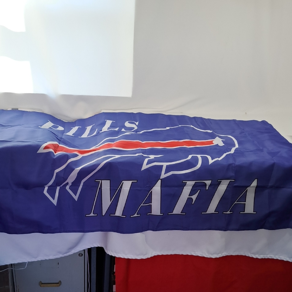 Blue and White Fan Flag